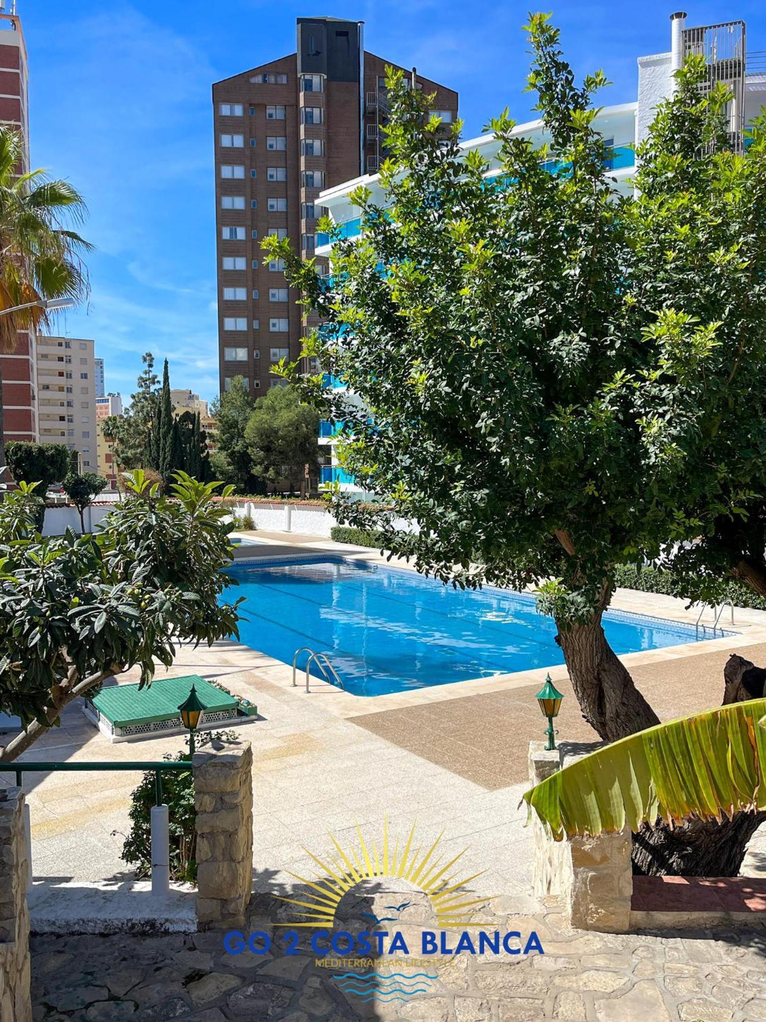 Sunflower Benidorm Luaran gambar
